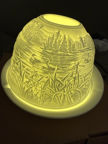 New design ducks in - 3d, of
